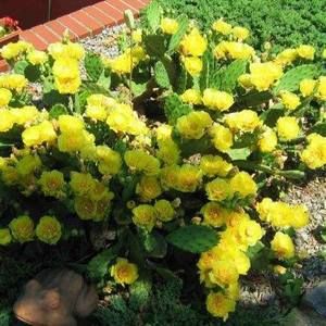 Meet your Posher, Helmut